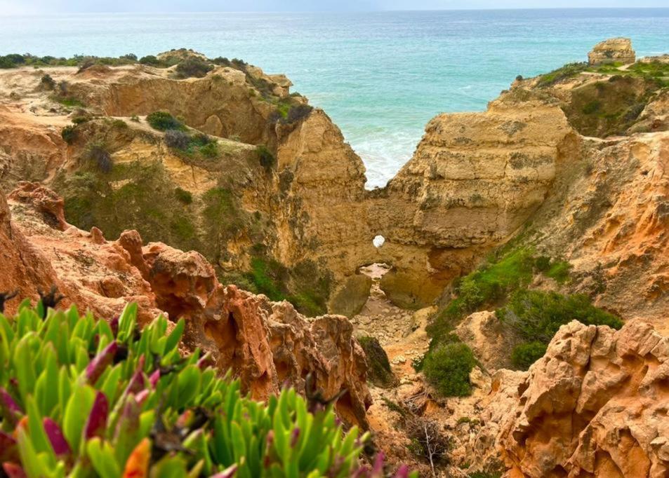 Marina Zen Apartment - Orada, Albufeira Exteriér fotografie