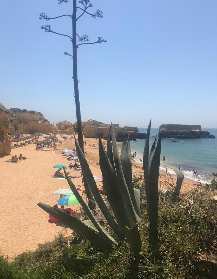 Marina Zen Apartment - Orada, Albufeira Exteriér fotografie